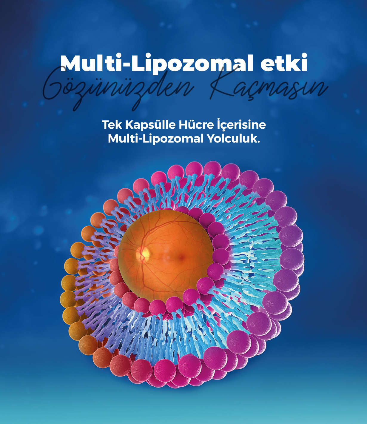 Lipofta Lipozomal Teknoloji Nedir?