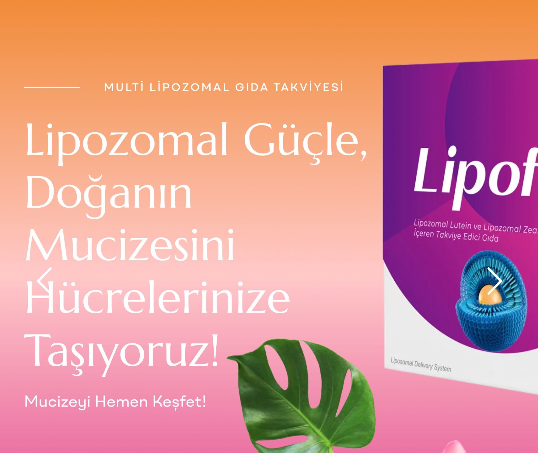 Lıpofta%20L%2030%20Kapsül%20Lipozomal%20Lutein,%20Lipozomal%20Zeaksantin%20Ve%20Koenzim%20Q10%20Içeren%20Takviye%20Edici%20Gıda